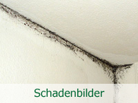 Schimmel Schadenbilder